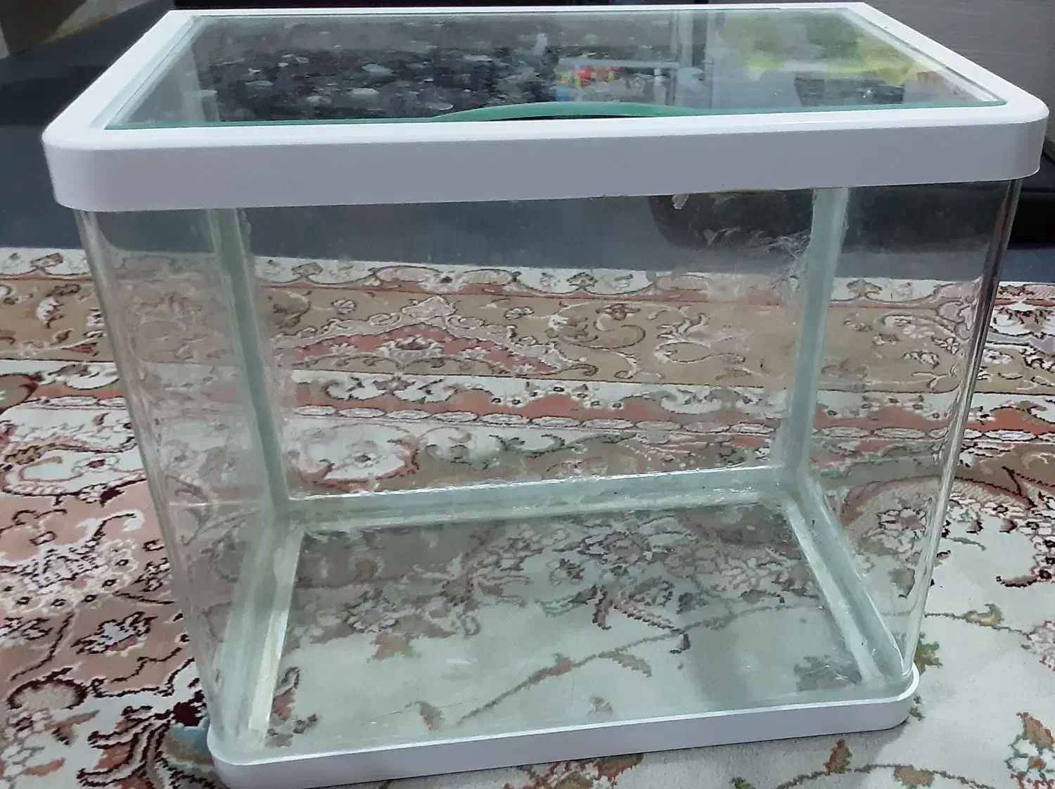 فروش فوری اکواریوم|ماهی|بندرعباس, |دیوار