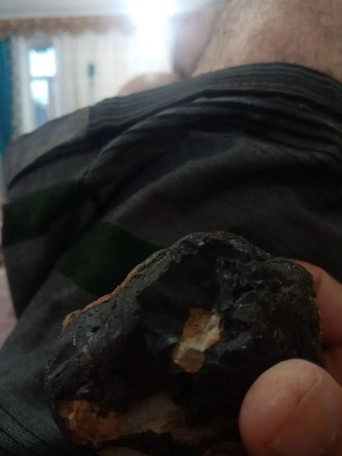 خروس محلی|کلکسیون و سرگرمی|چوار, |دیوار