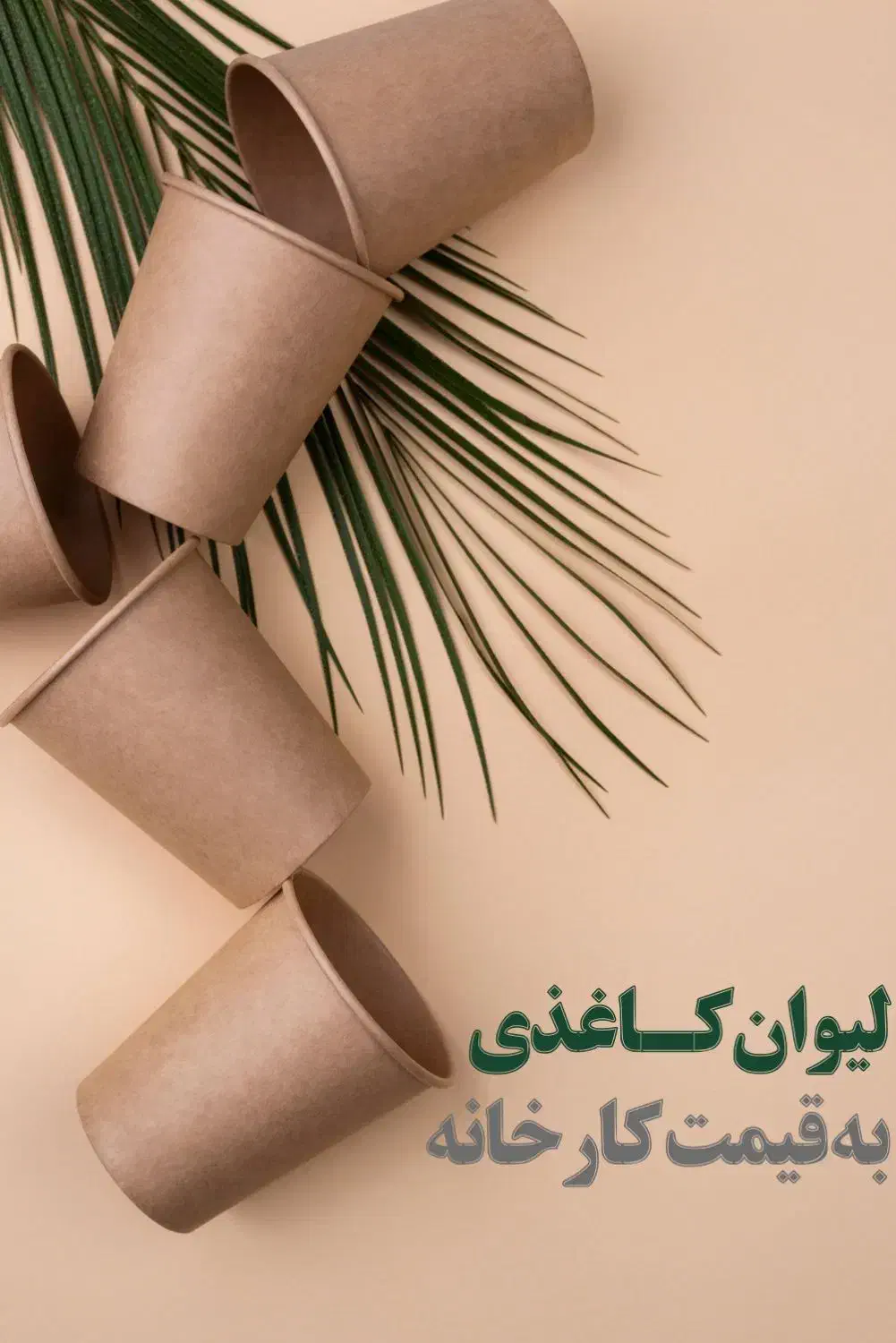 لیوان کاغذی به قیمت کارخانه|ظروف نگهدارنده، پلاستیکی، یک‌بارمصرف|قم, صفائیه|دیوار