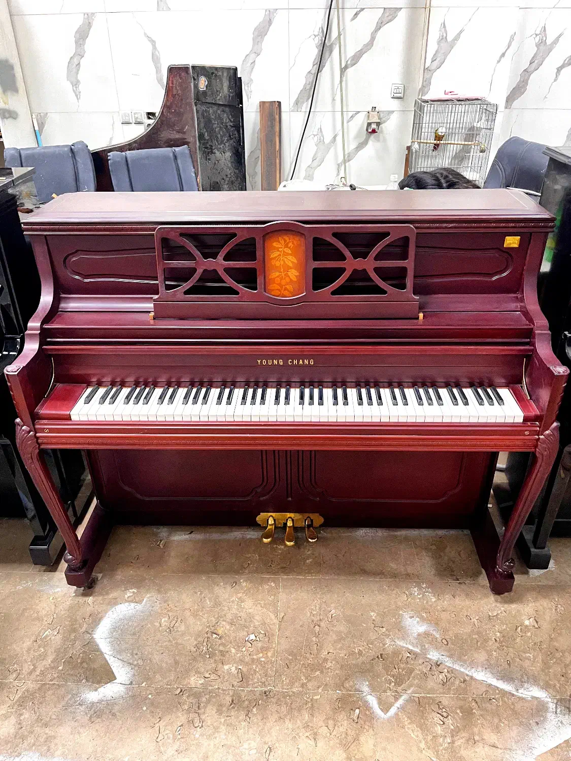 پیانو یانگ چانگ|پیانو، کیبورد، آکاردئون|کرج, شهر صنعتی|دیوار