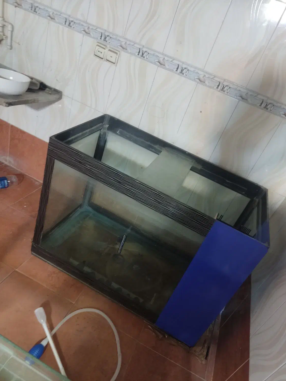 تعدادی اکواریوم  و ماهی گوپی|ماهی|تبریز, |دیوار