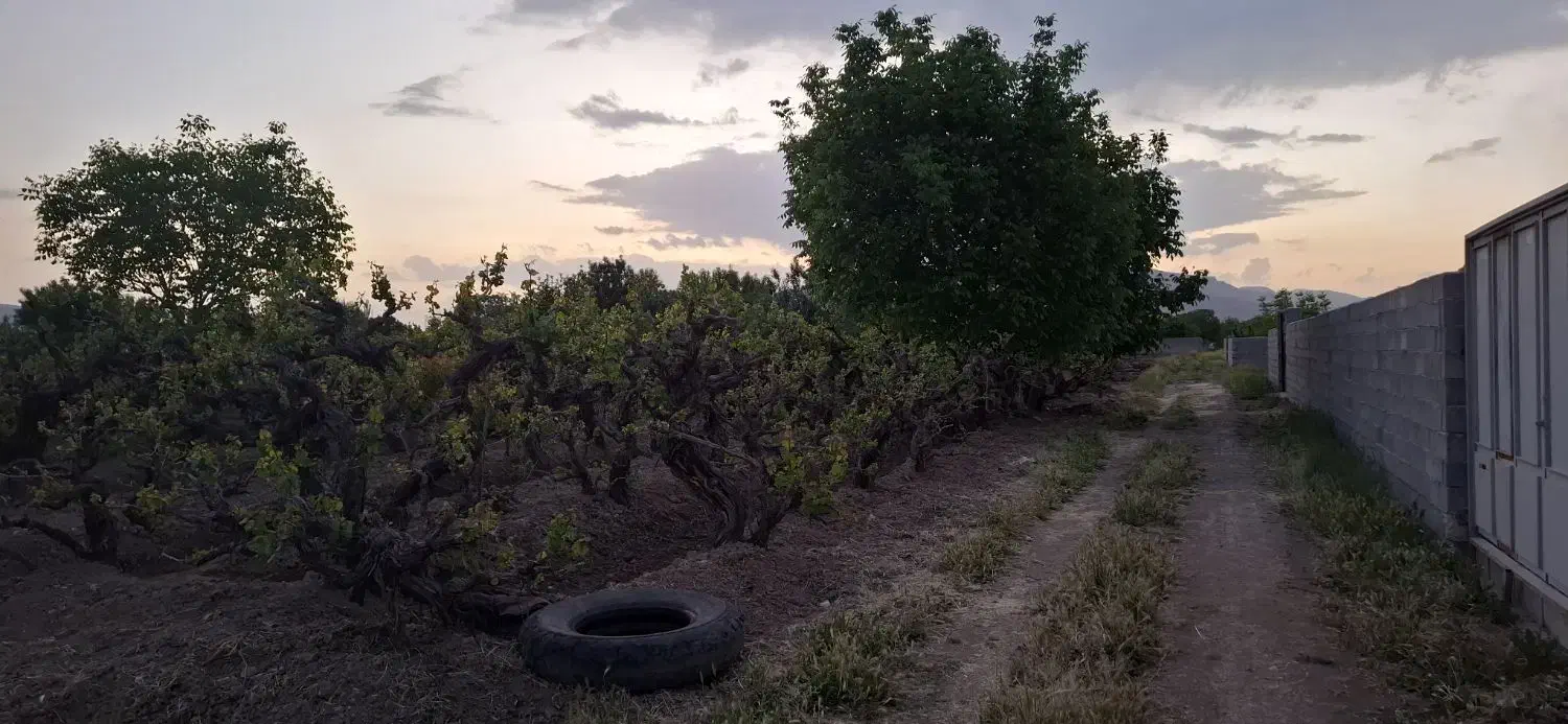 2200 متر باغ واقع در سیدان|فروش زمین و ملک کلنگی|سیدان, |دیوار