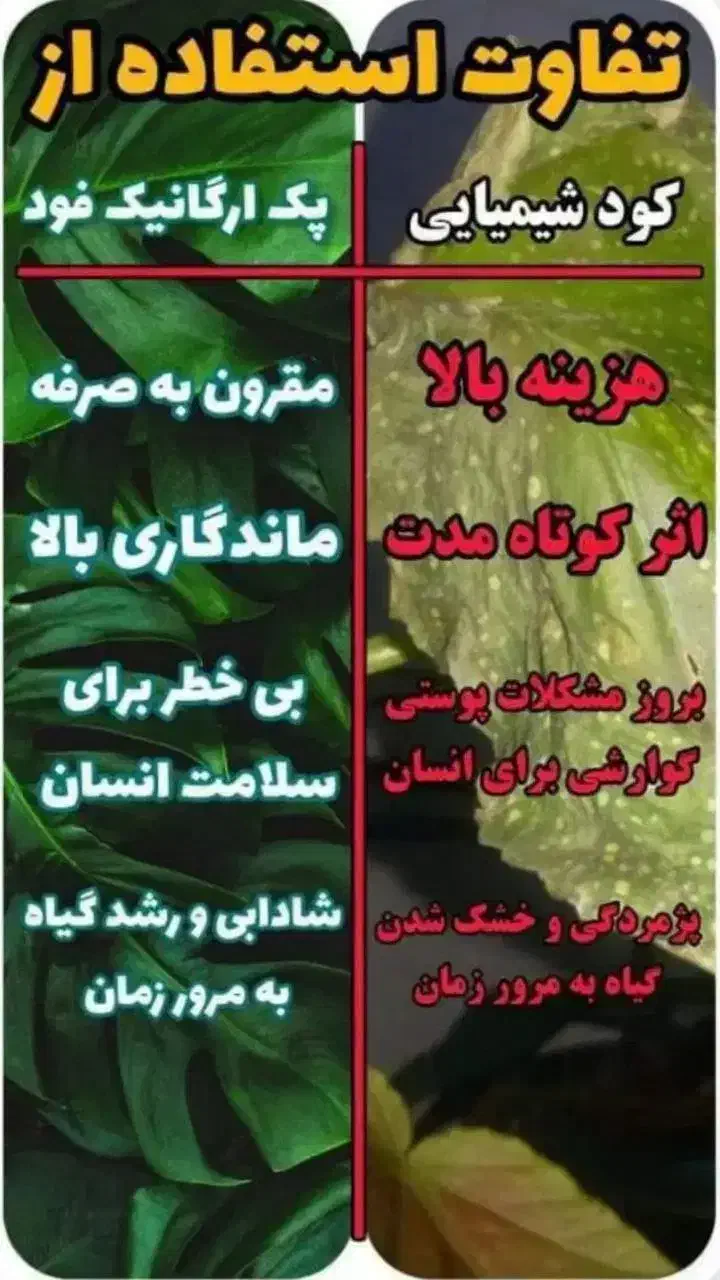 کود های گیاهی|گل و گیاه طبیعی|شاهین‌شهر, فردوسی|دیوار