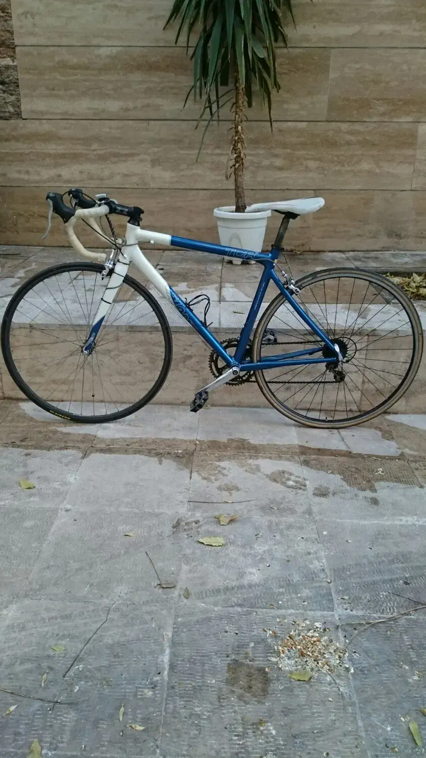 دوچرخه کورسی جاینت|دوچرخه، اسکیت، اسکوتر|تهران, تهرانپارس غربی|دیوار