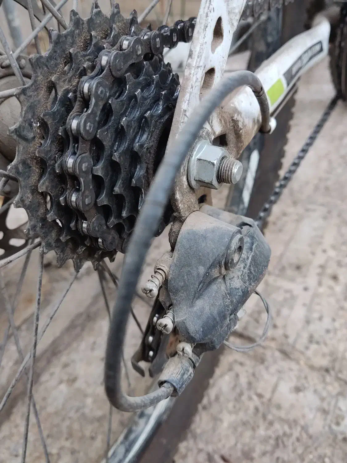 دوچرخه۲۶|دوچرخه، اسکیت، اسکوتر|کاشان, سیفی آباد|دیوار