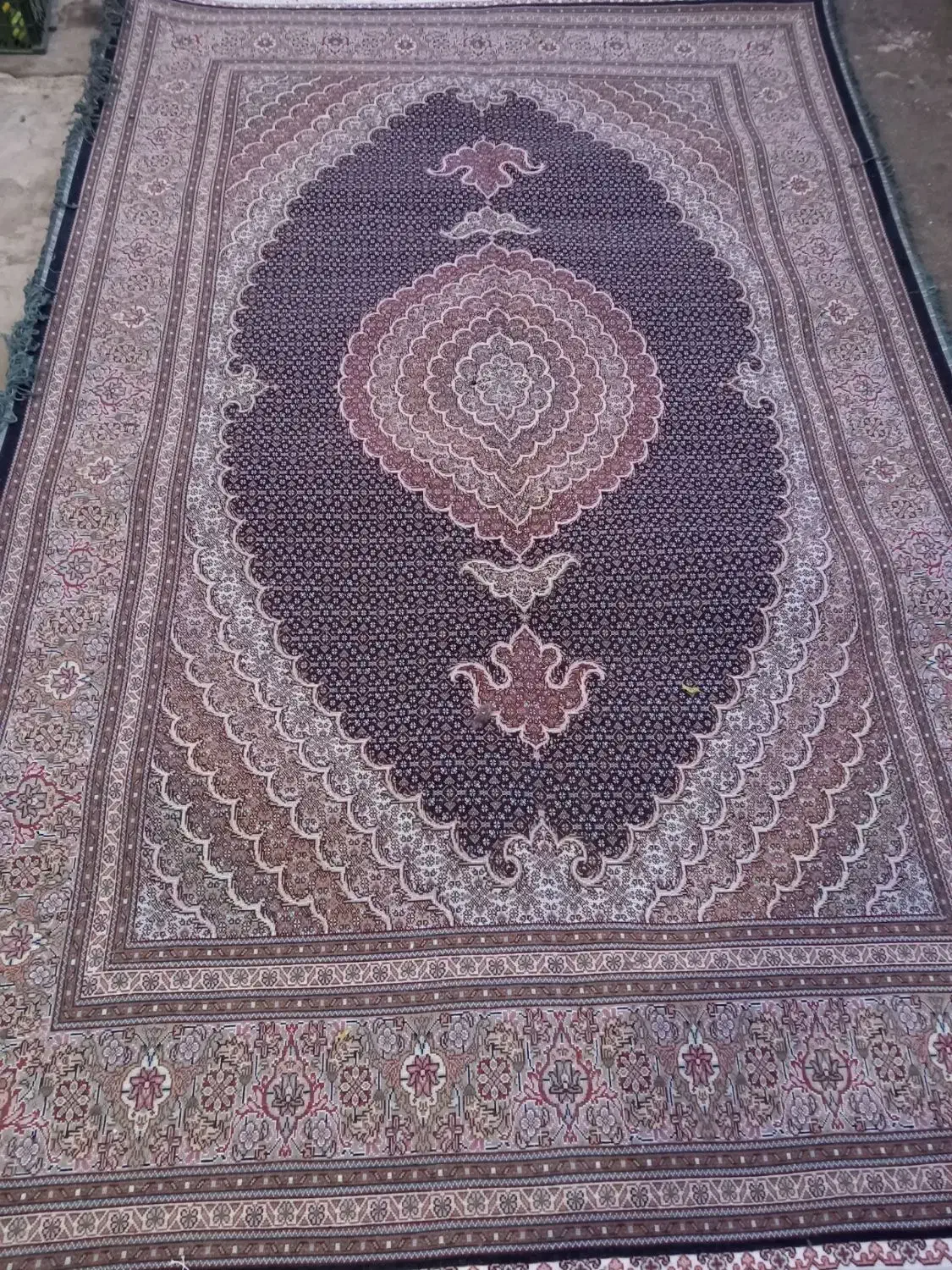 فرش ماهی خوی|فرش|مرند, |دیوار