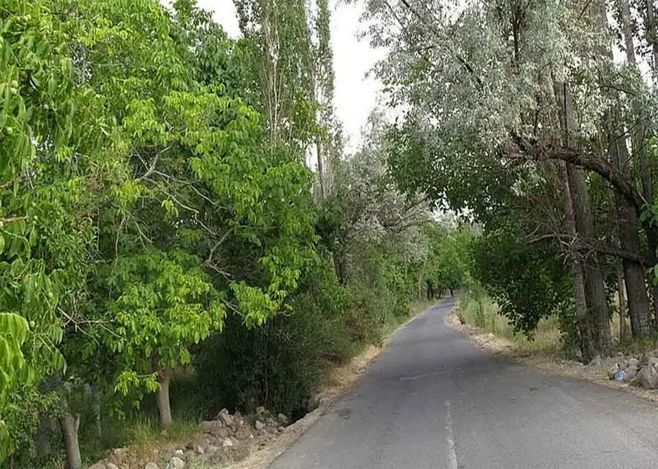 گوغر ز.م.ی.ن|اجارهٔ دفتر صنعتی، کشاورزی، تجاری|بندرعباس, |دیوار