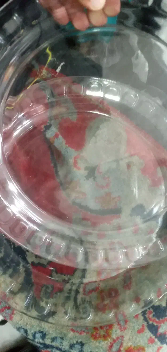 دیس ظروف آشپزخانه|ظروف سرو و پذیرایی|اسلامشهر, مطهری|دیوار