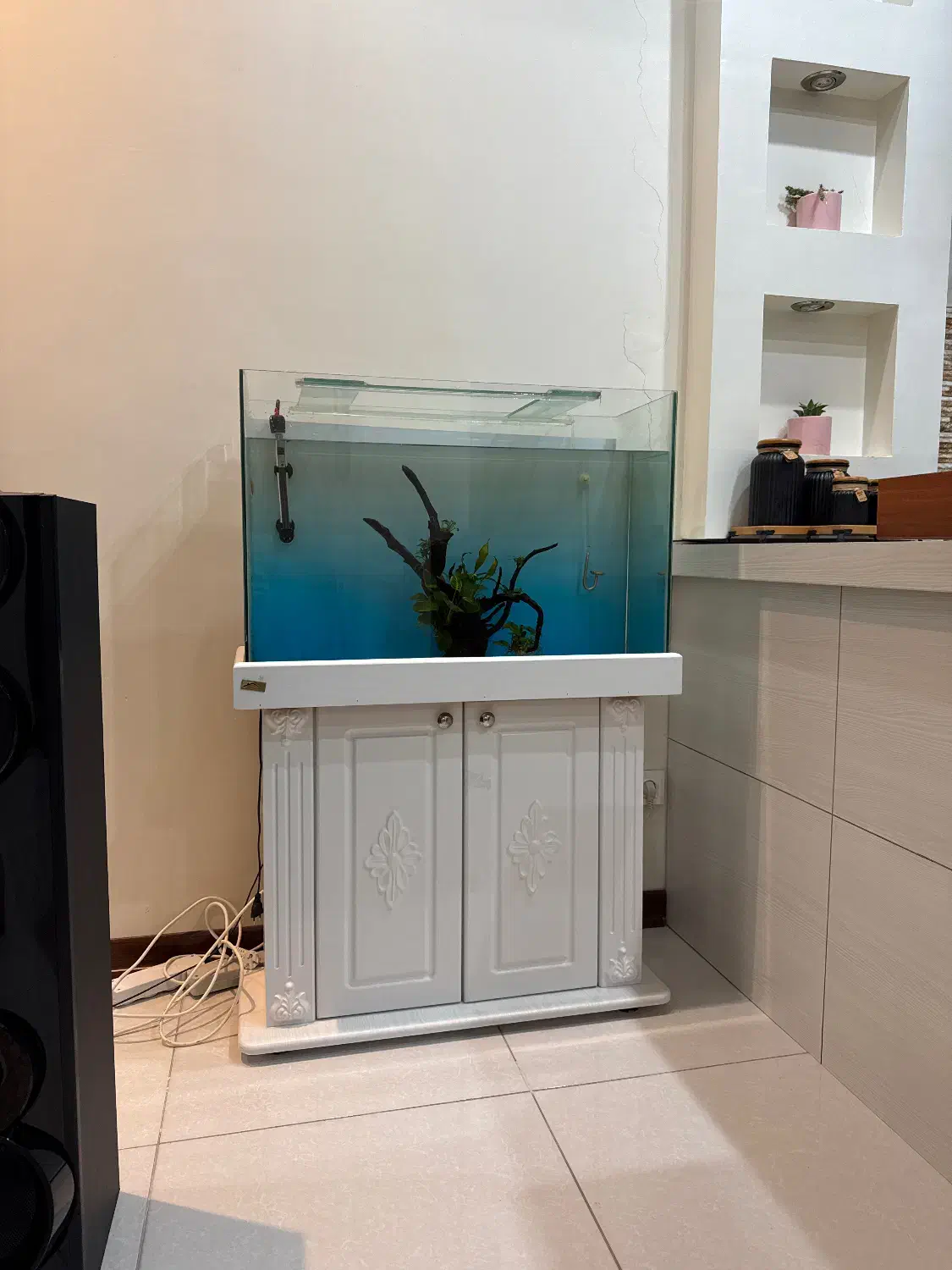 آکواریوم|ماهی|کرج, کوی امامیه|دیوار