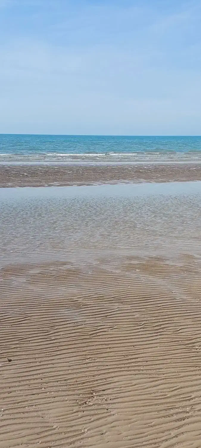 سرویس پذیرفته میشود|خدمات حمل و نقل|بهبهان, |دیوار