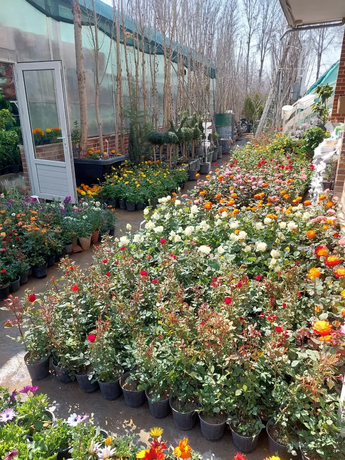 گلخونه فروشنده|استخدام بازاریابی و فروش|شهریار, شهریار|دیوار