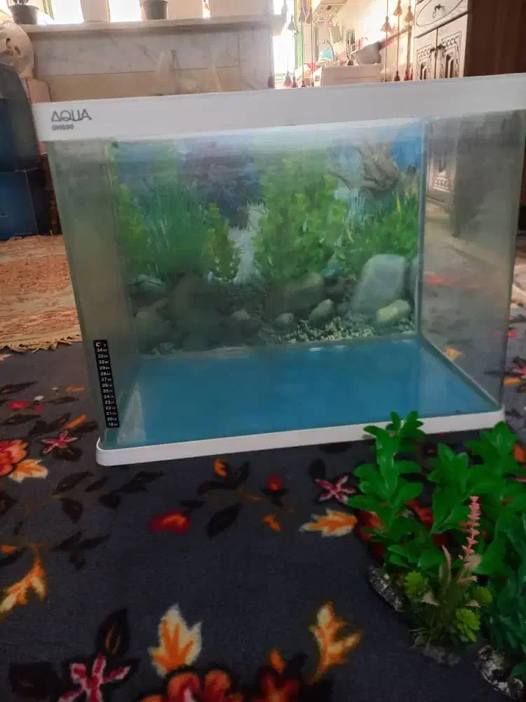 آکواریوم باتمام وسایل|ماهی|چهاردانگه (تهران), |دیوار