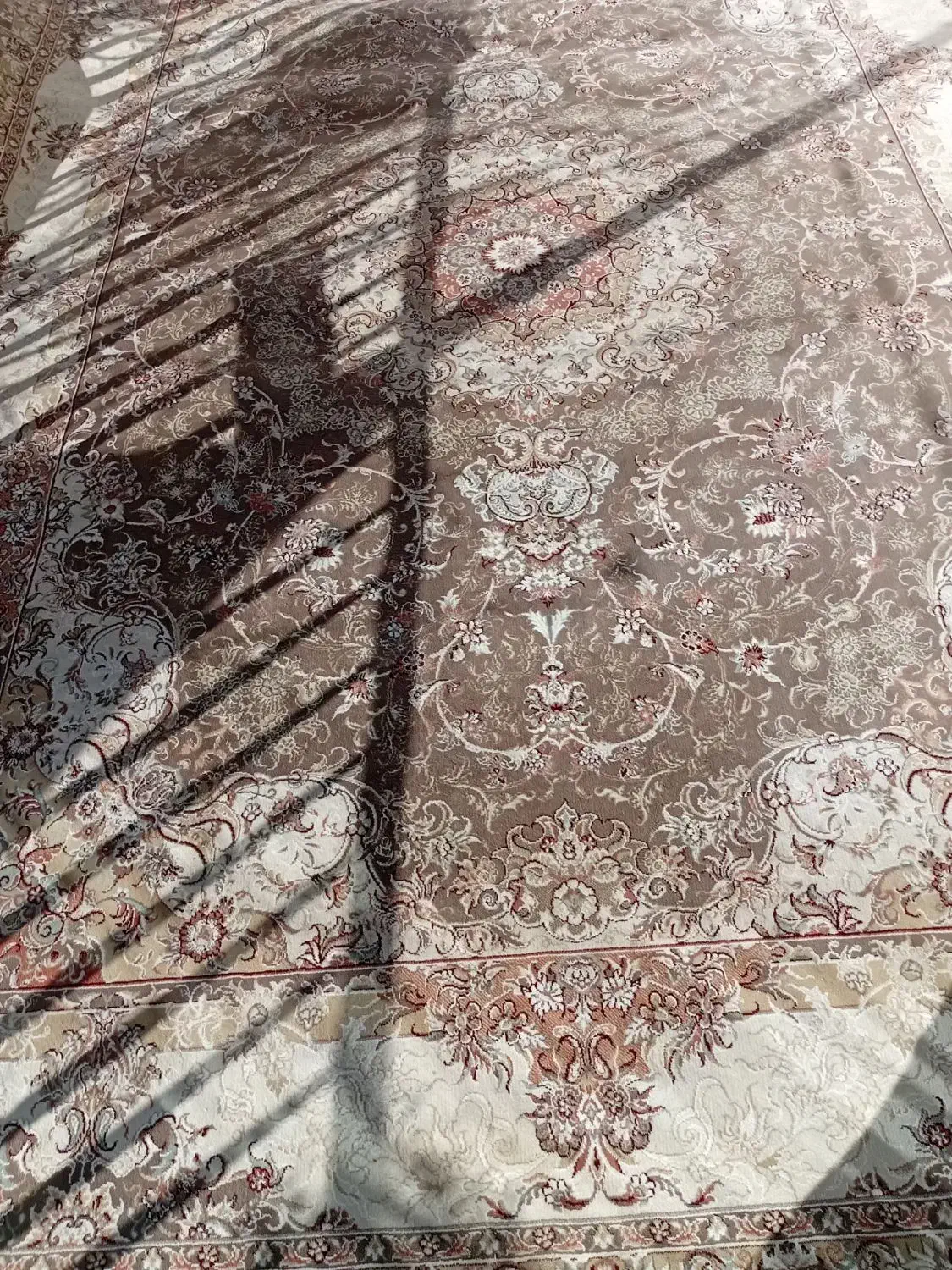 فرش|فرش|نیشابور, شریعتی|دیوار