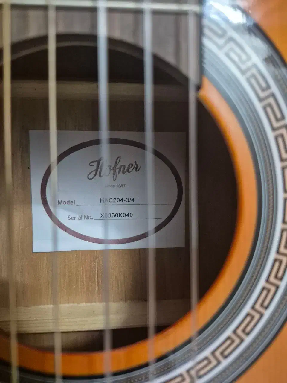 گیتار هافنرنو با کاور|گیتار، بیس، امپلیفایر|میبد, |دیوار