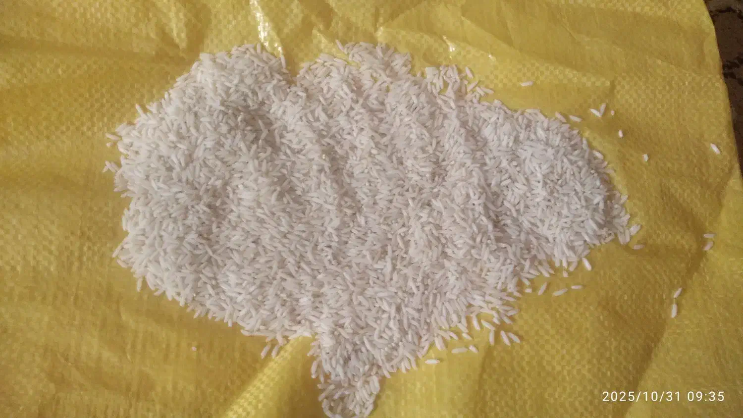 برنج شیرودی ۳۷۵کیلو|خوردنی و آشامیدنی|قائم‌شهر, |دیوار