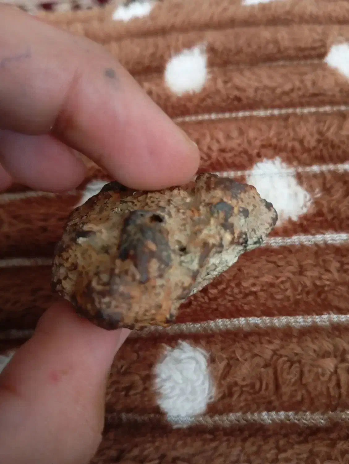 معاوضه با ماشین مشکوک|کلکسیون اشیاء عتیقه|هشترود, |دیوار