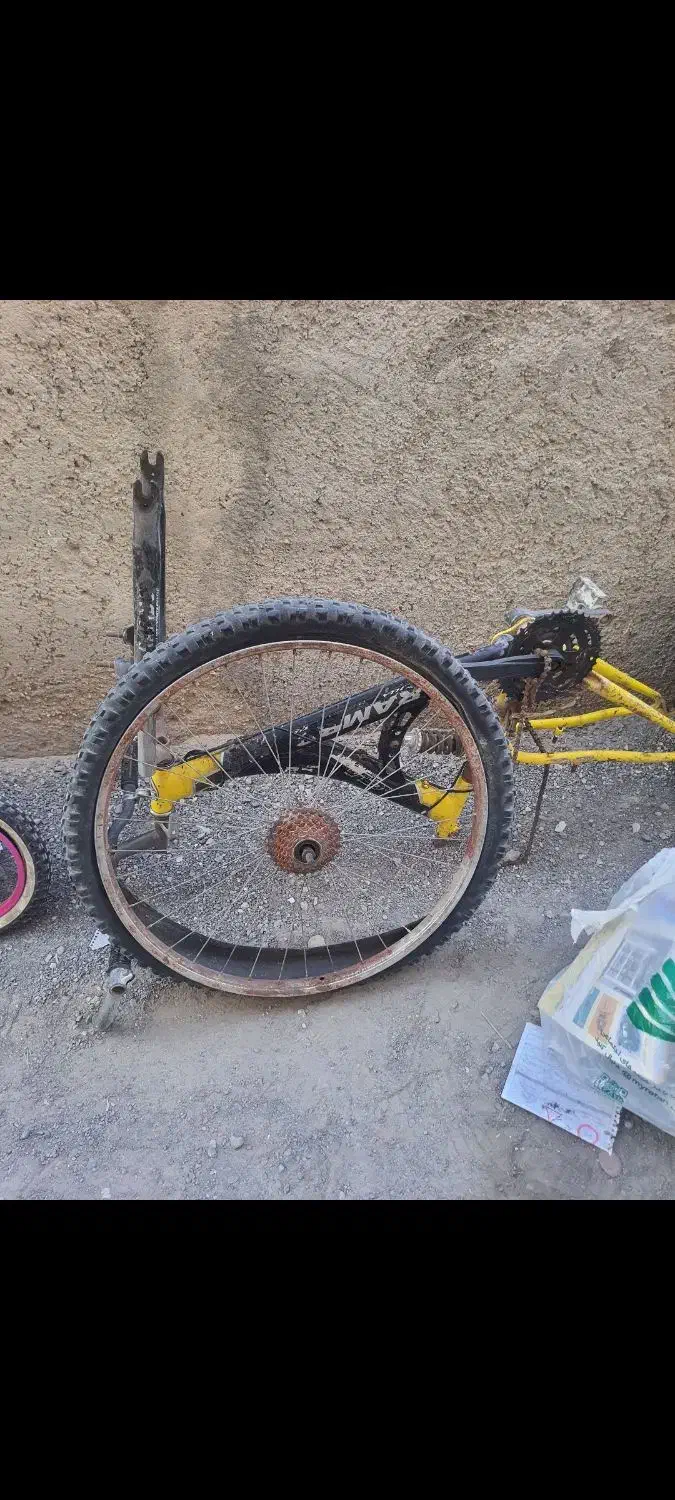 ۳ تا دو چرخه ۲۶ و حرفه ای ۲۰ و ۱۲|دوچرخه، اسکیت، اسکوتر|بندرعباس, |دیوار