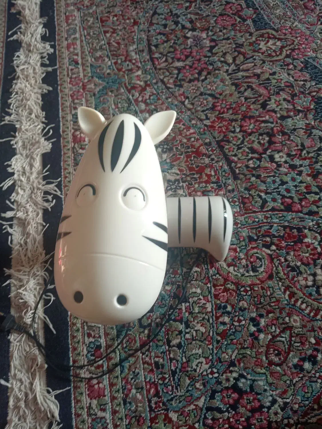 چراغ خواب (گور خر)|چراغ خواب و آباژور|کرمان, |دیوار