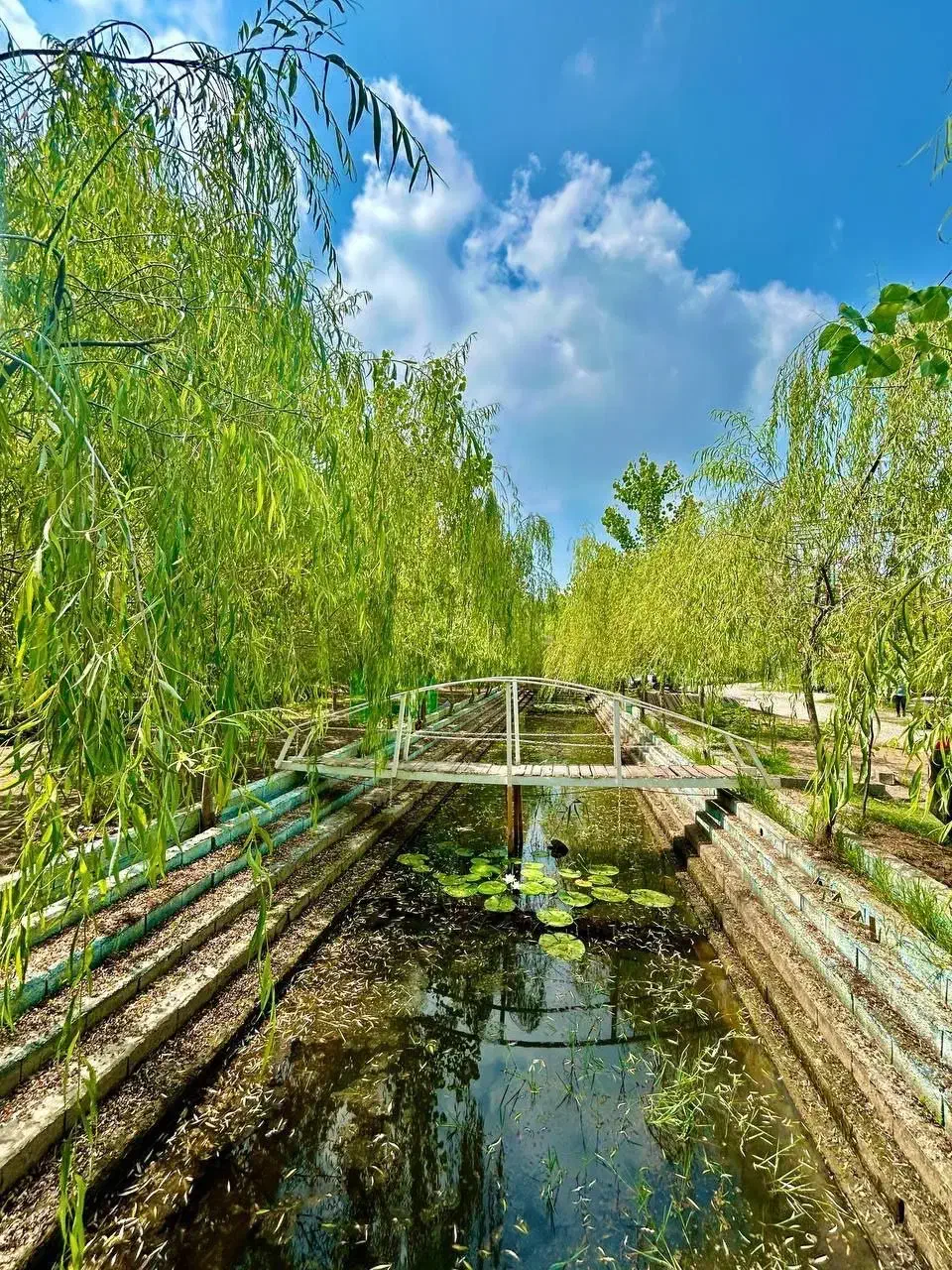 مدرن، تک، ناب|فروش خانه و ویلا|مبارکه, |دیوار