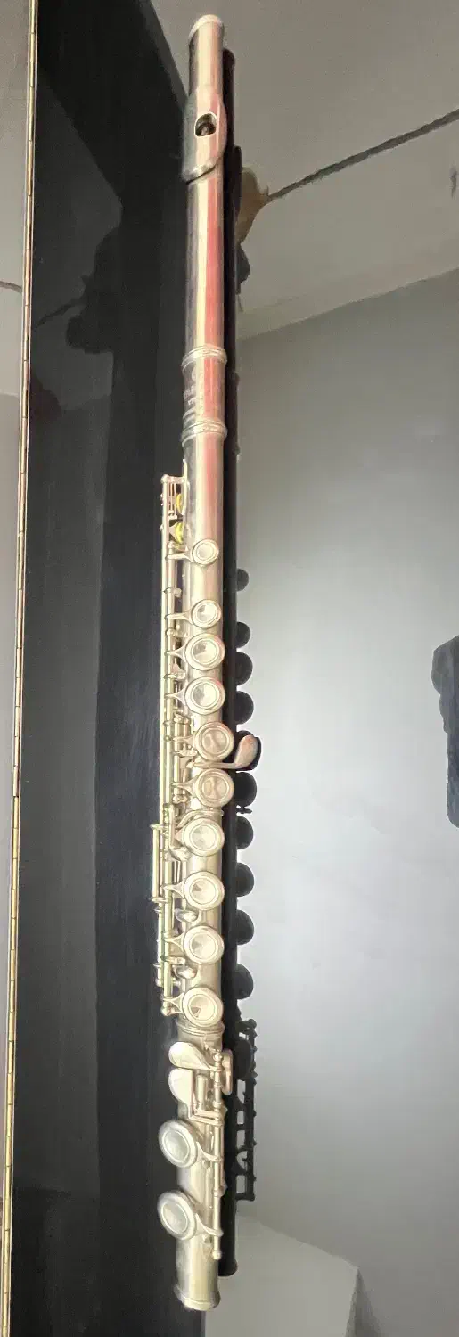فلوت شصتی دار|سازهای بادی|مشهد, هنرستان|دیوار