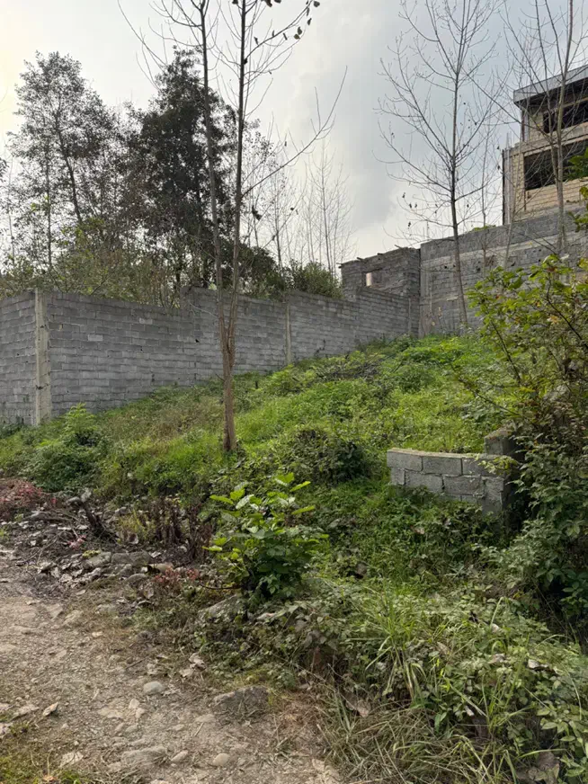 زمین ۱۴۰ متری کتشال پایین مسکونی|فروش زمین و ملک کلنگی|لاهیجان, کوه بیجار|دیوار