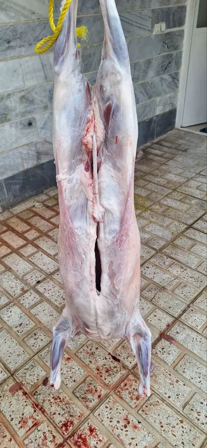 خدمات قصابی مراسمات شما|خدمات پذیرایی، مراسم|نظرآباد, نجم آباد|دیوار