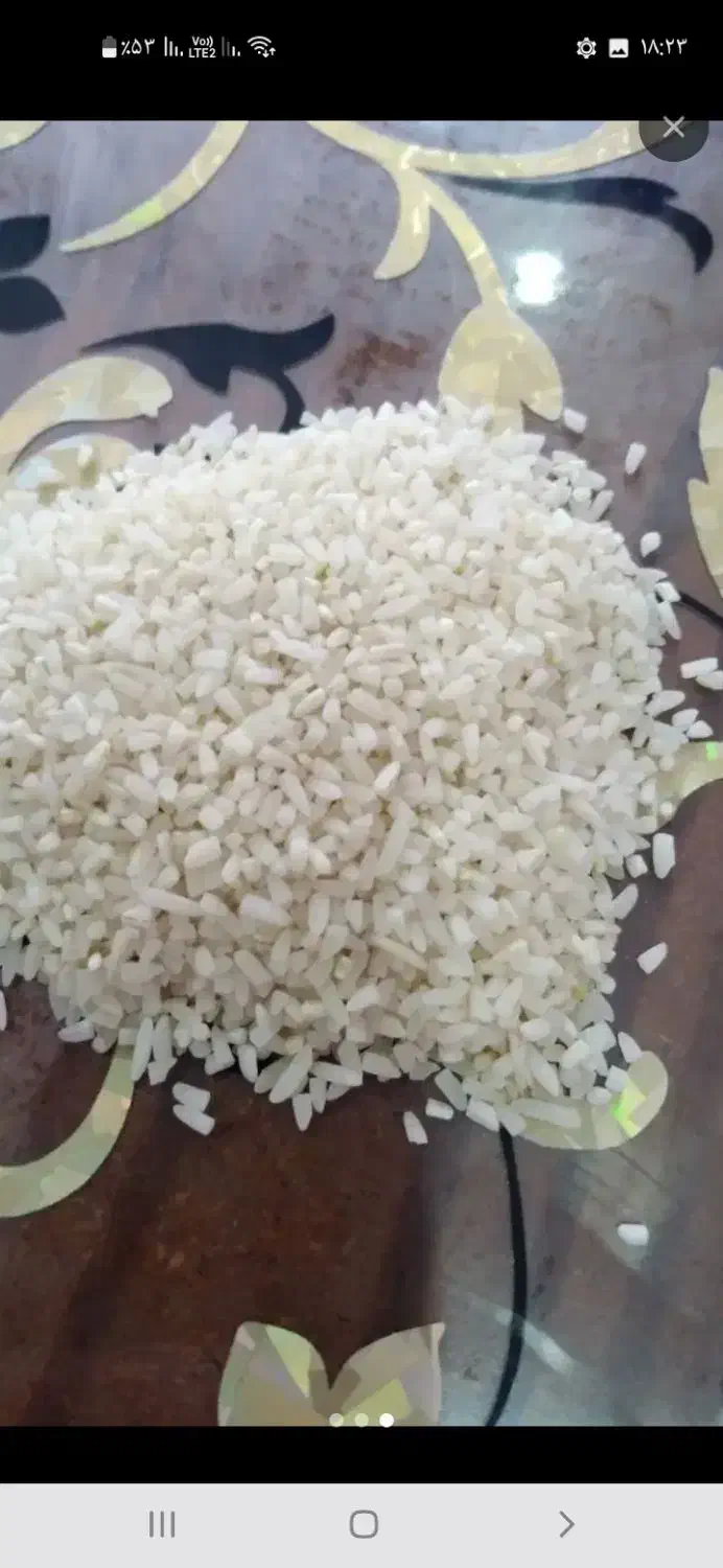 نیم دانه صدری سورت شده|خوردنی و آشامیدنی|رشت, فلسطین|دیوار