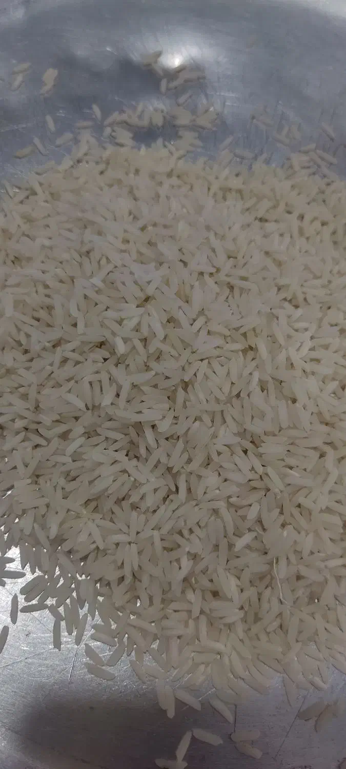 برنج|خوردنی و آشامیدنی|باغستان, |دیوار