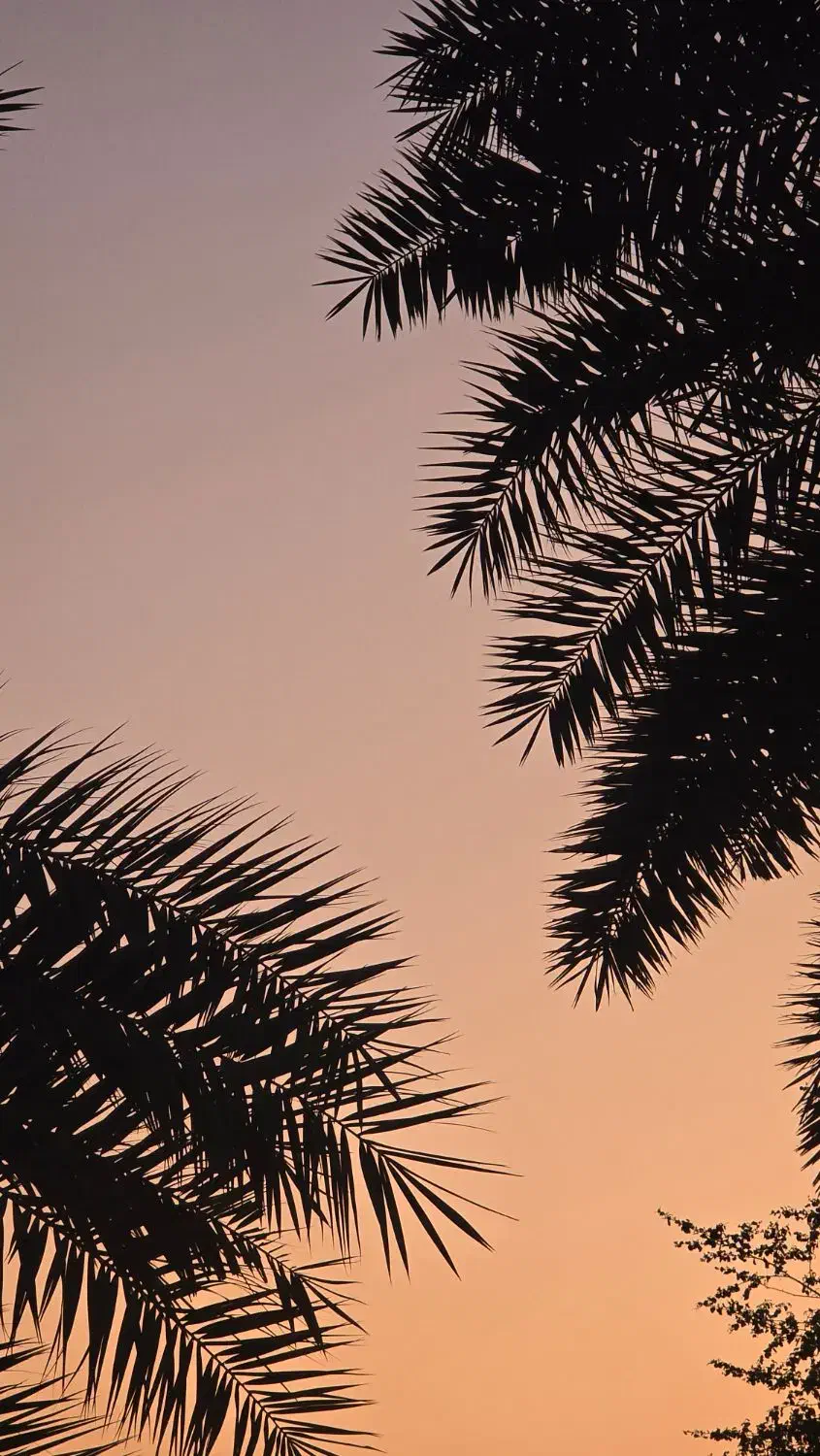 زمین|فروش زمین و ملک کلنگی|بند زرک, |دیوار