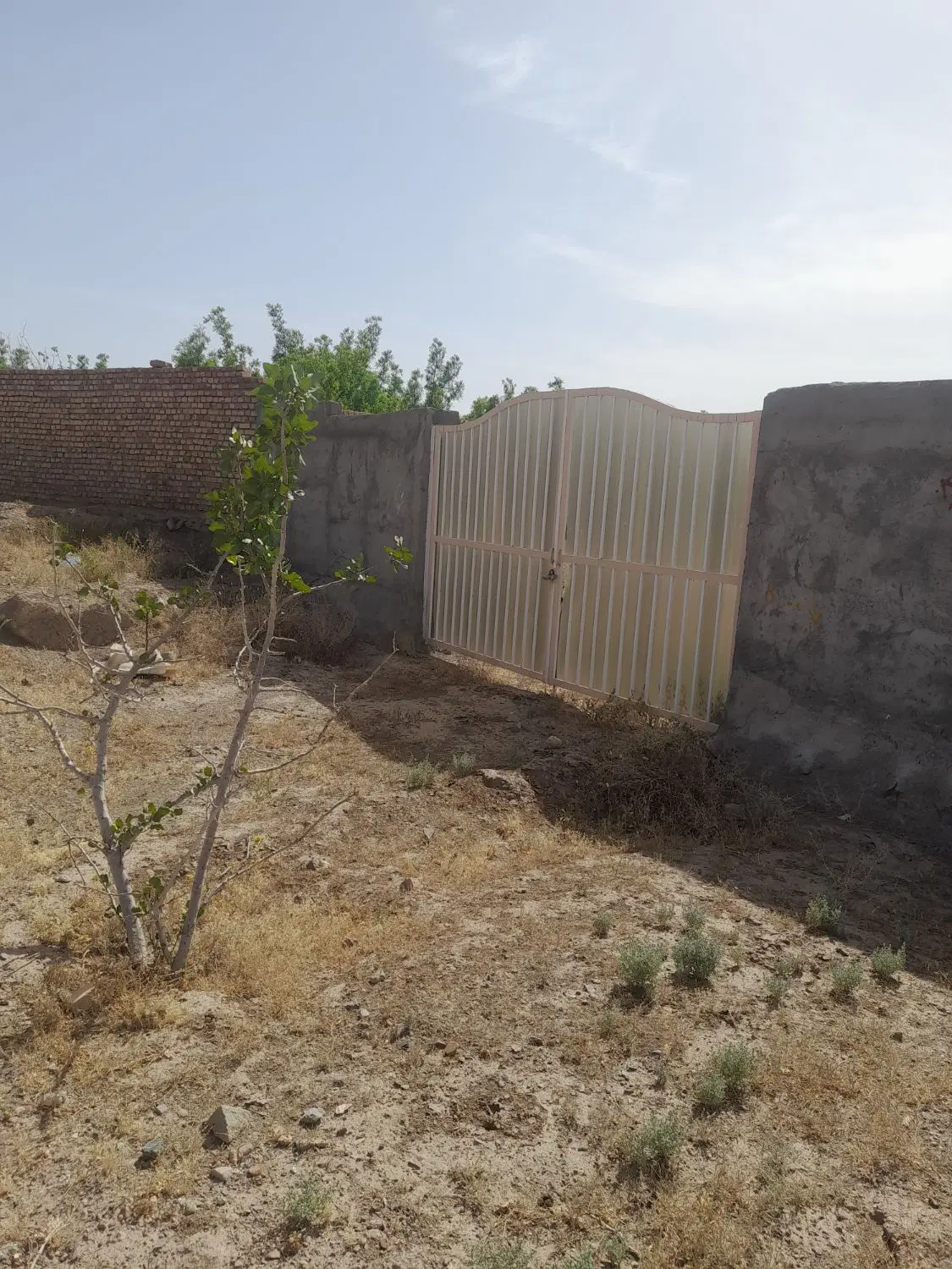 تصویر 6