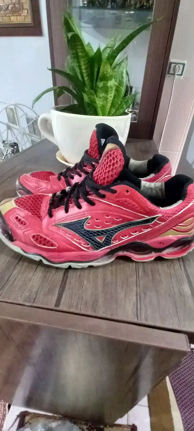 کتونی میزانو اورجینال|کیف، کفش، کمربند|کبودرآهنگ, |دیوار