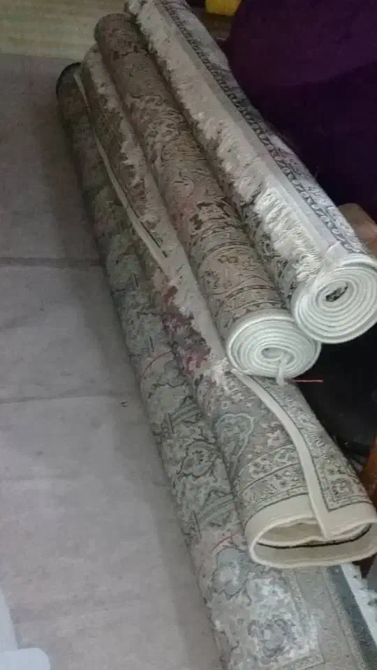 تعداد۴تخته‌فرشهای‌ماشینی‌سالم‌وجنس‌خوب.|فرش|بندر انزلی, نوغان|دیوار