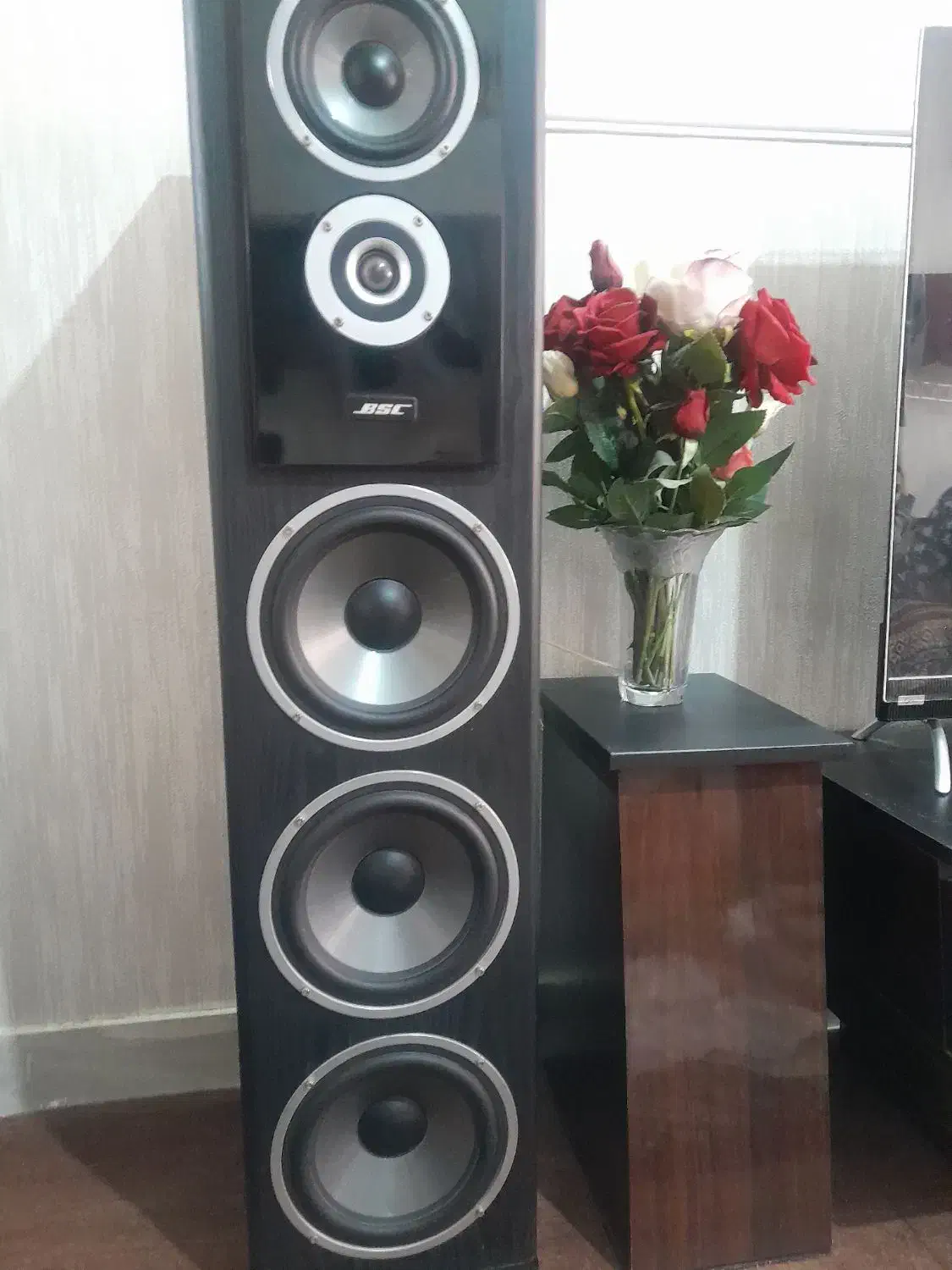 یک جفت اسپیکر حرفه ای پرقدرت|سیستم صوتی خانگی|ری, ظهیرآباد|دیوار