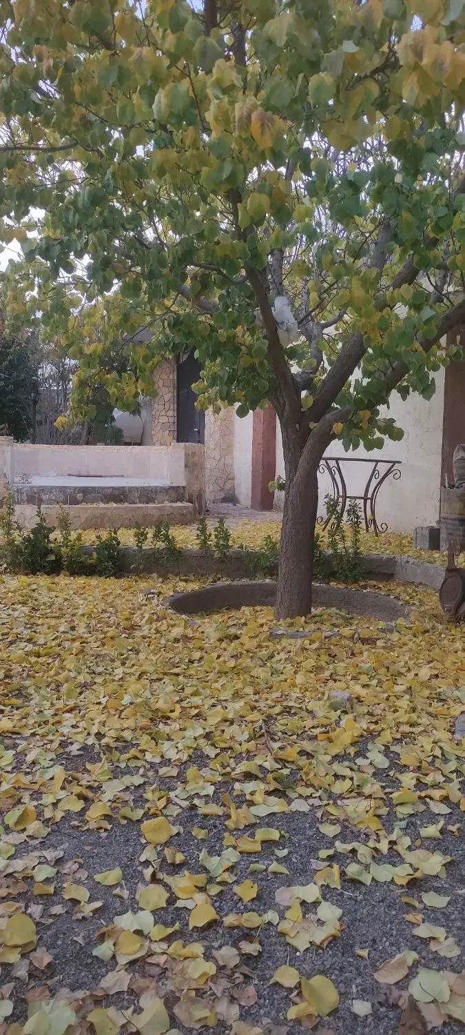 تصویر 13