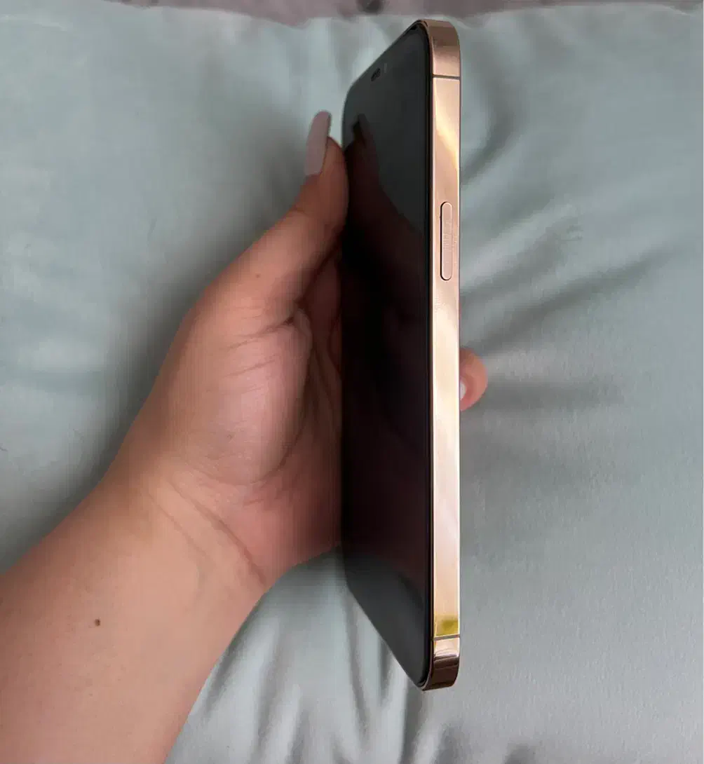 ۱۲ پرومکس ۲۵۶ گلد پک اصلی ایفن|موبایل|بجنورد, |دیوار