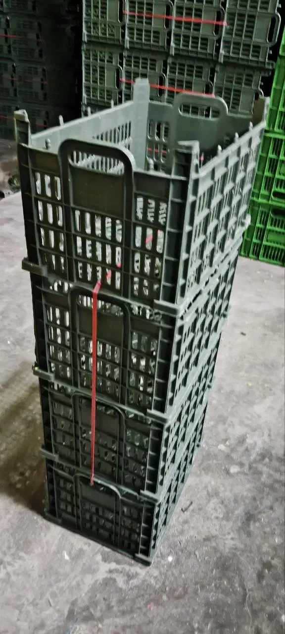 سبد میوه|ظروف نگهدارنده، پلاستیکی، یک‌بارمصرف|سلمان‌شهر, |دیوار