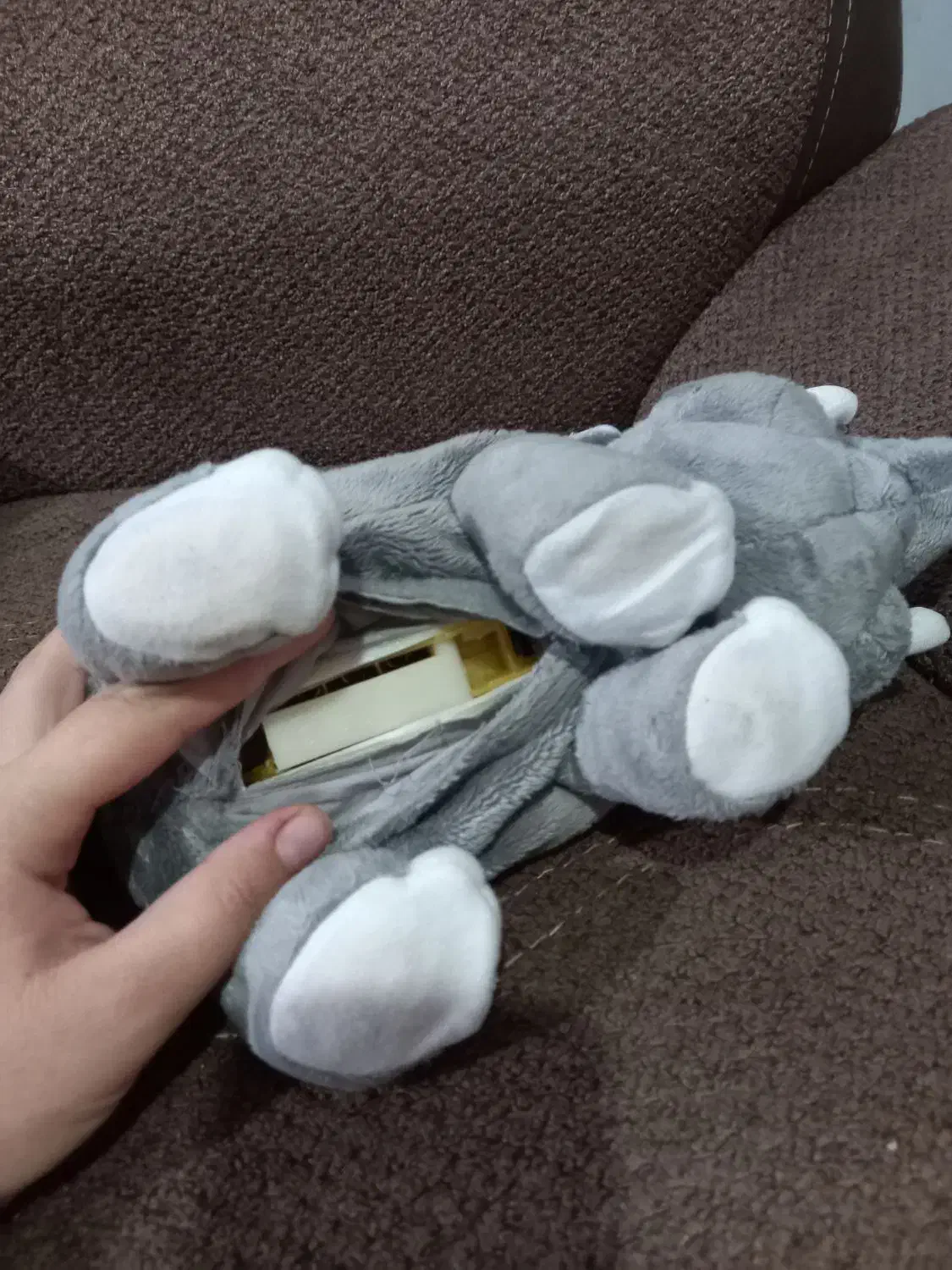 عروسک|اسباببازی|فولادشهر, B2|دیوار