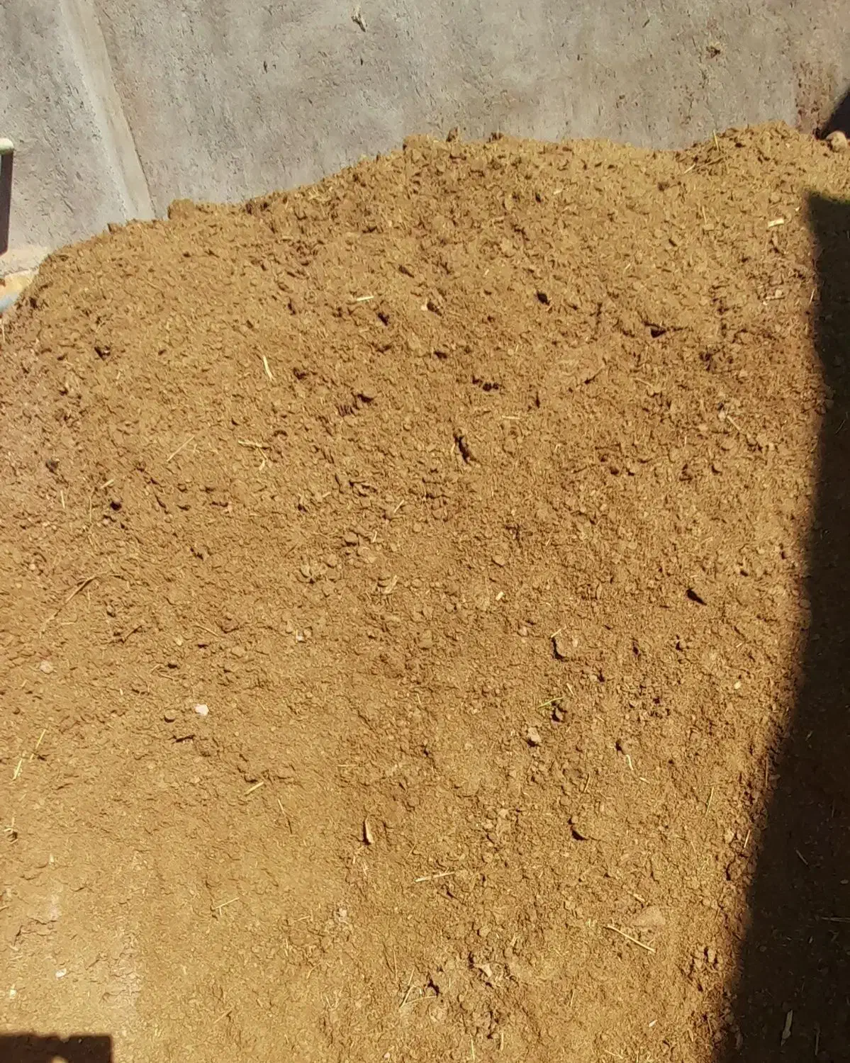 کودگوسفندی|خدمات باغبانی و درختکاری|اراک, |دیوار