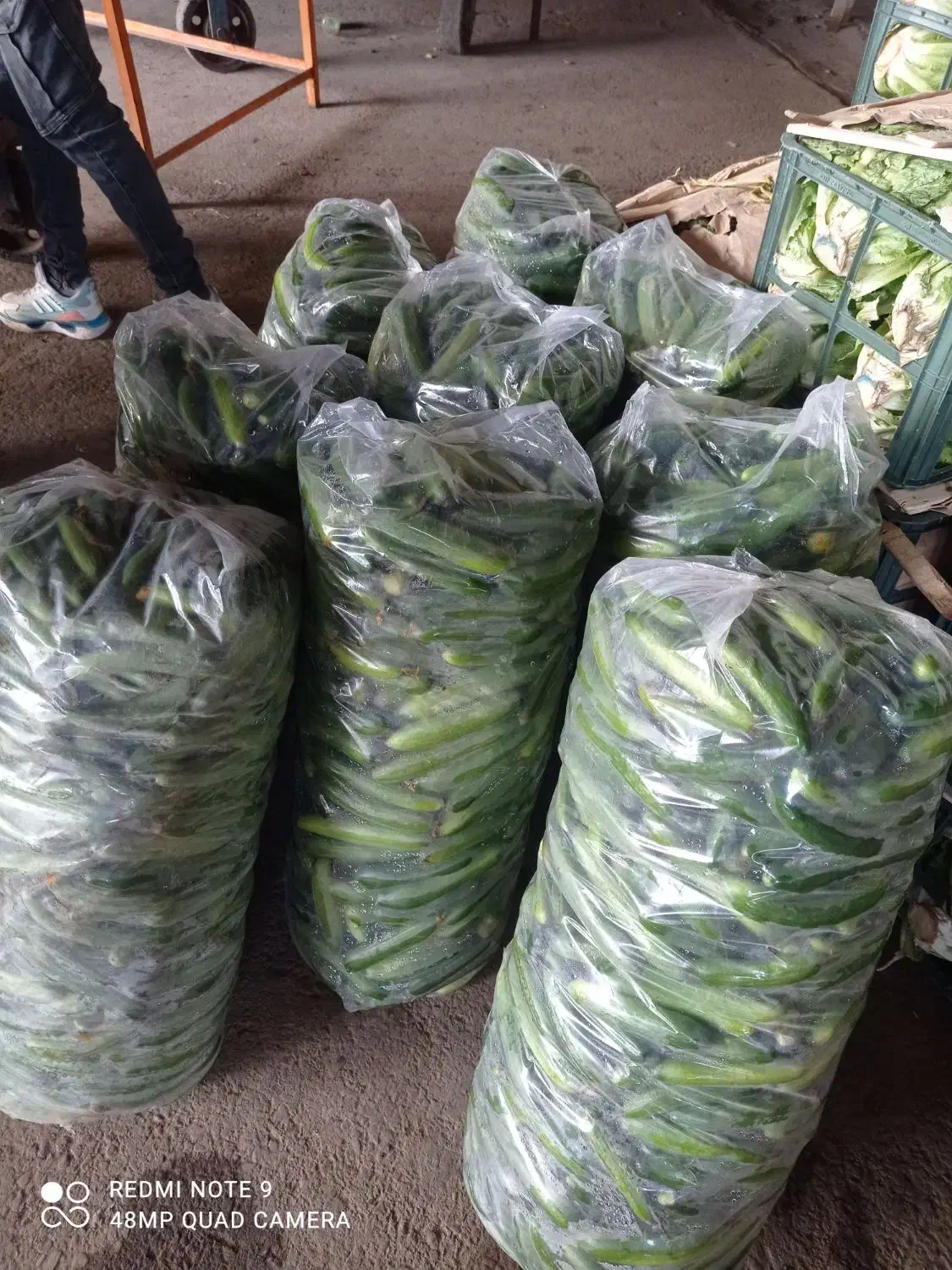 خیاردرجه ۱|خوردنی و آشامیدنی|مشهد, کارگران|دیوار