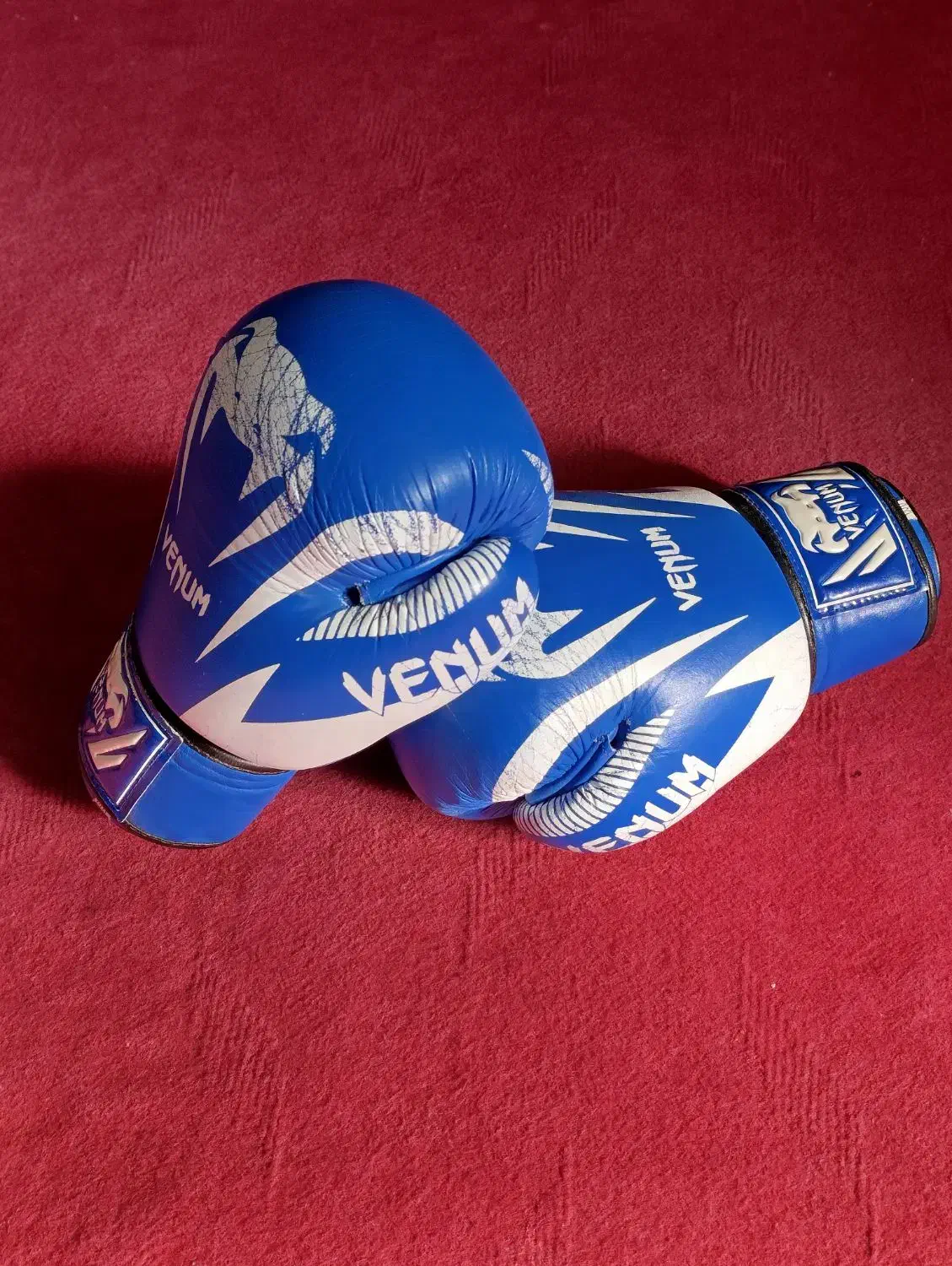 دستکش بوکس|تجهیزات ورزشی|مراغه, |دیوار