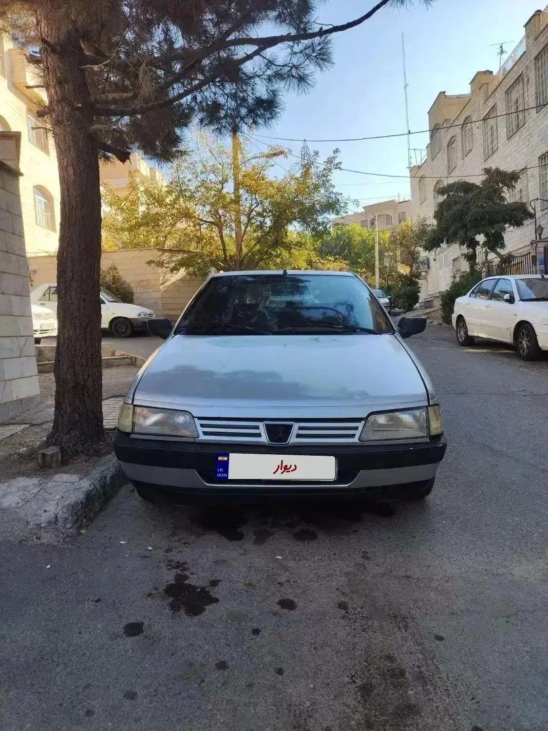 405 مدل نود دوگانه .. تمام رنگ تا اخر بخون|خودرو سواری و وانت|همدان, |دیوار