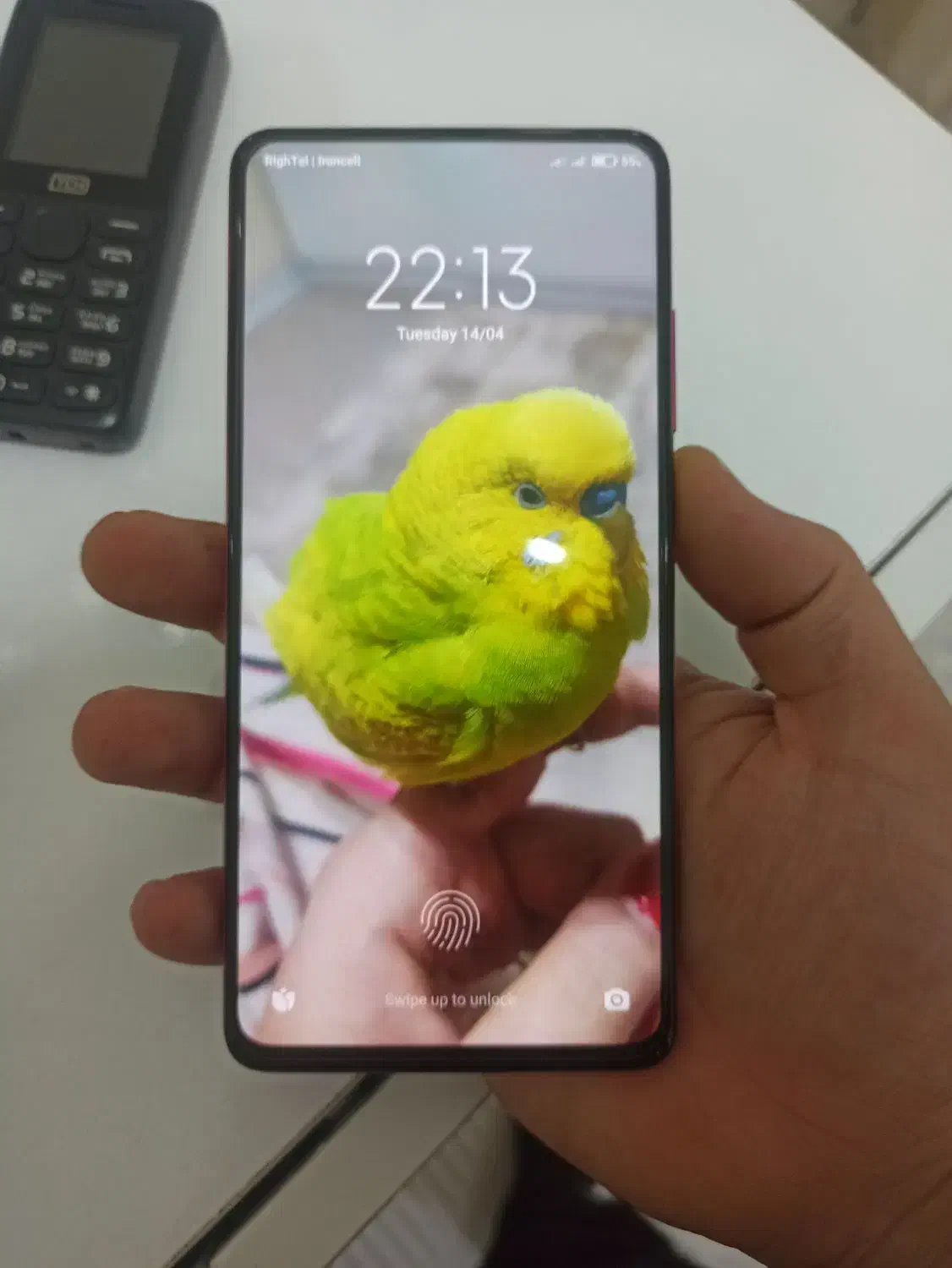 mi9t|موبایل|پرند, فاز ۶|دیوار