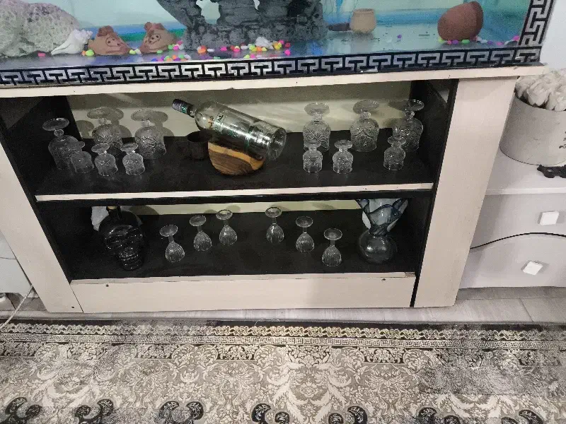 اکواریوم|ماهی|قزوین, |دیوار