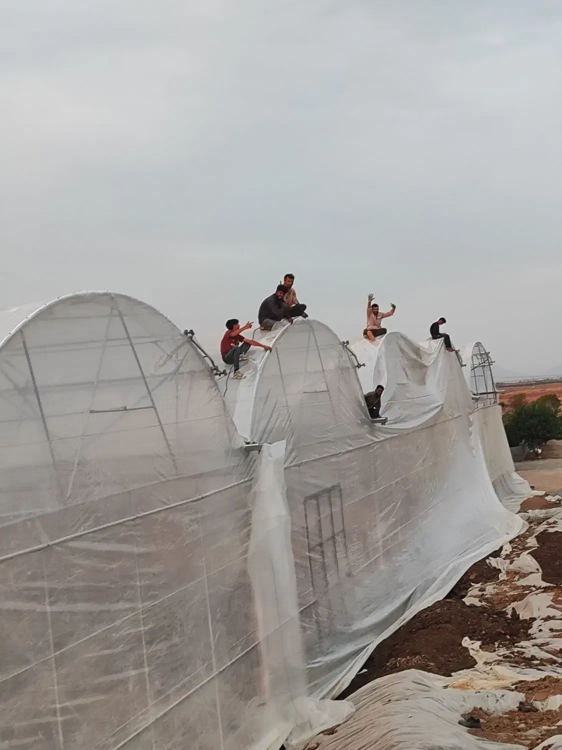 کارگر ساده گل خانه سازی|استخدام صنعتی، فنی، مهندسی|تیران, |دیوار