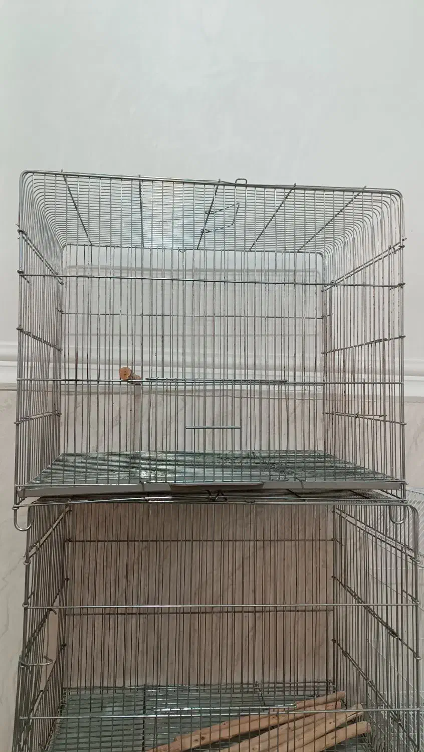 قفس|لوازم جانبی حیوانات|اهواز, غیزانیه|دیوار