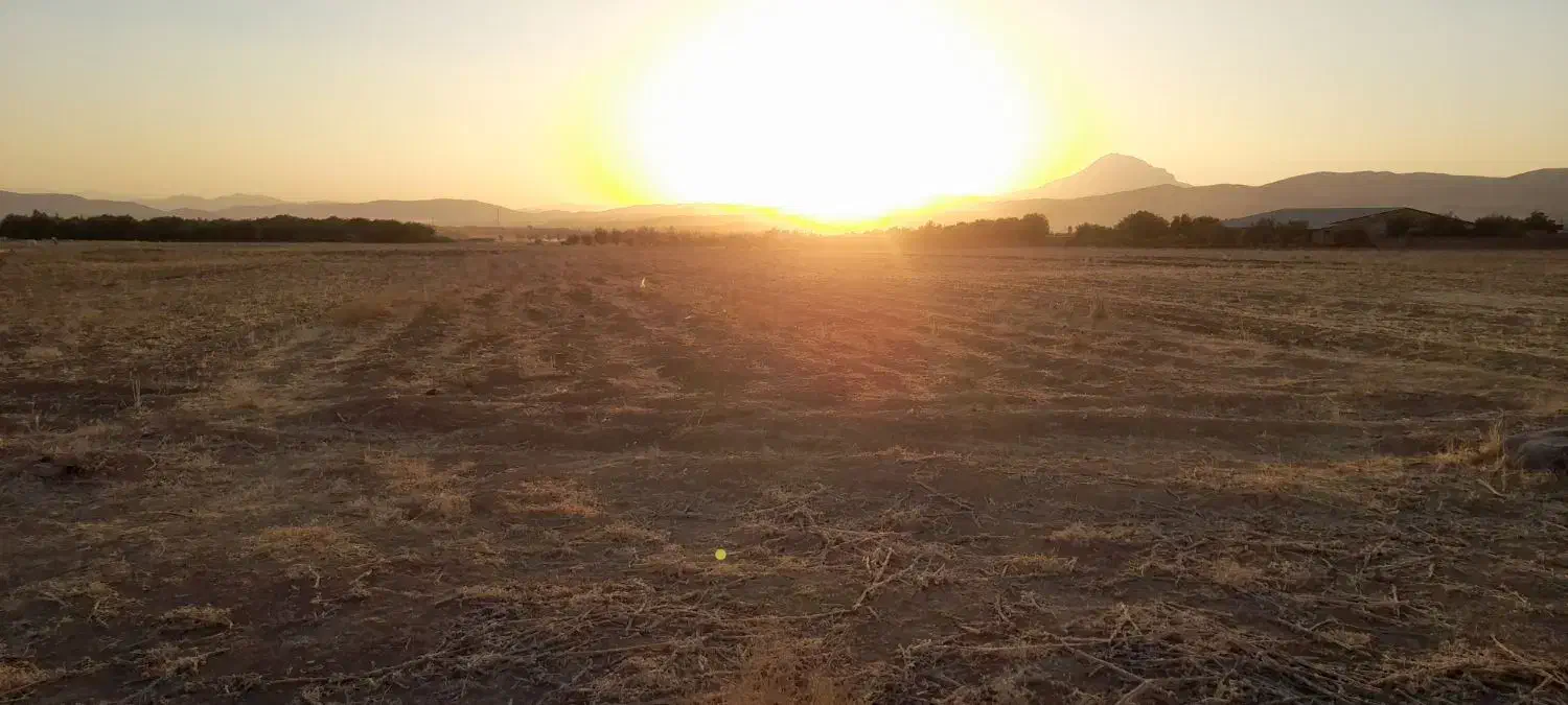 زمین کشاورزی و باغی۱۹۰۰متری چسب تویسرکان|فروش زمین و ملک کلنگی|تویسرکان, |دیوار