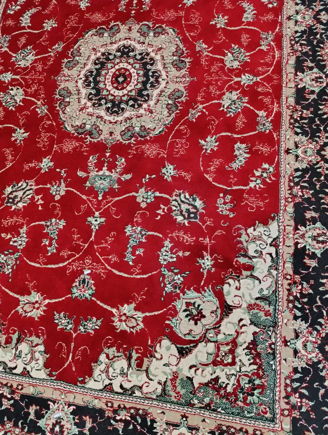 دوعدد فرش ۶ متری سالم|فرش|لاهیجان, کوی خزر|دیوار