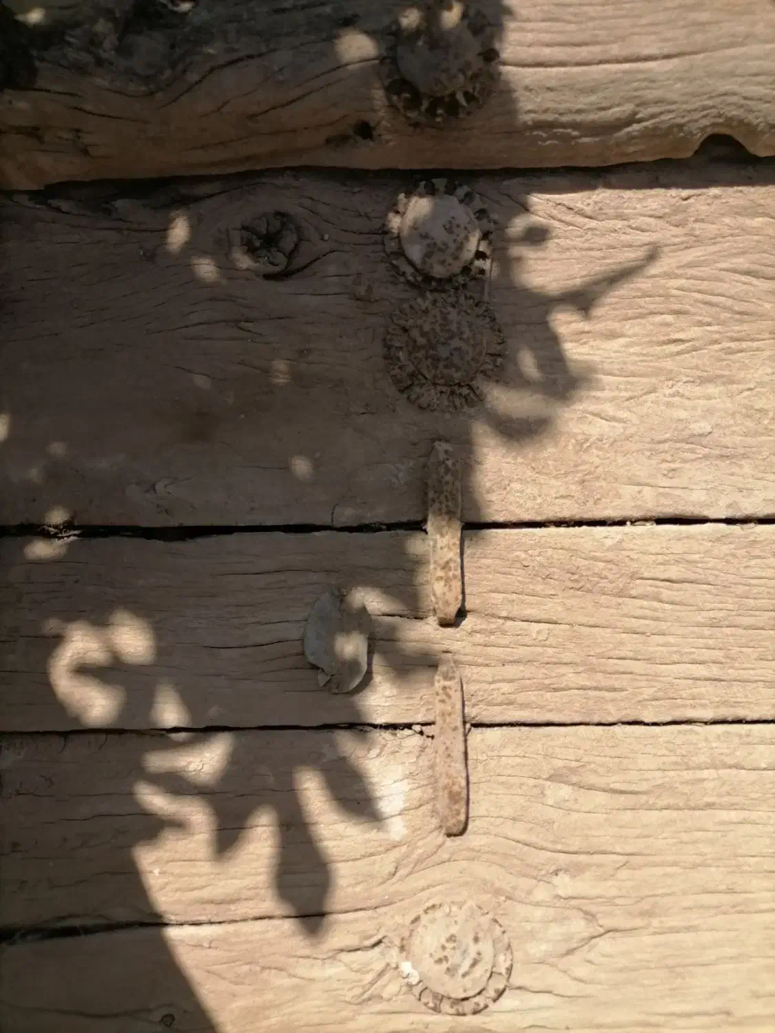 درب چوبی قدیمی وباستانی|کلکسیون اشیاء عتیقه|نیشابور, مازول|دیوار