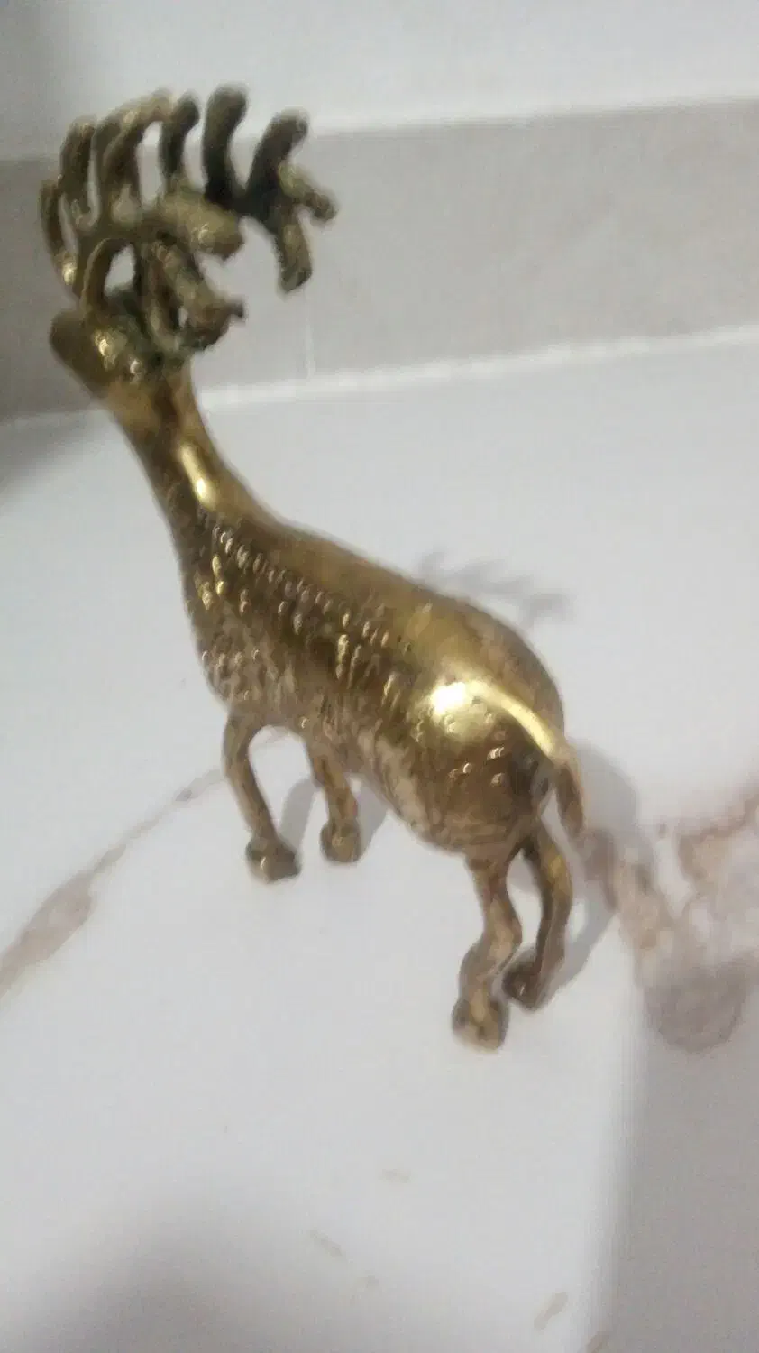 مجسمه گوزن برنجی|کلکسیون اشیاء عتیقه|شیروان (خراسان), |دیوار