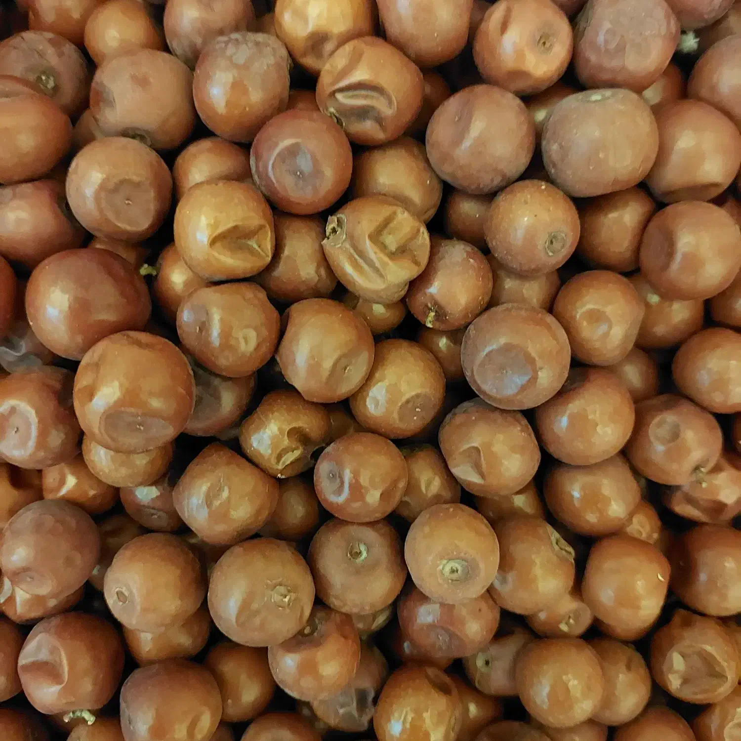 فروش عناب ریز اصیل|خوردنی و آشامیدنی|اسکو, |دیوار